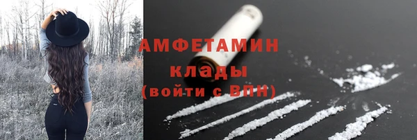 прущие грибы Аркадак