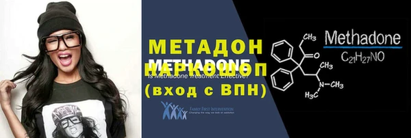 прущие грибы Аркадак