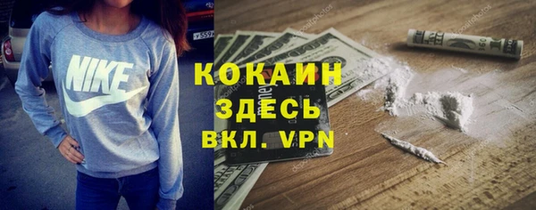 прущие грибы Аркадак