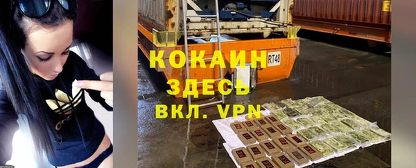 прущие грибы Аркадак