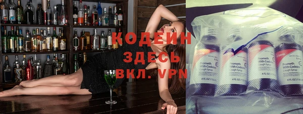 прущие грибы Аркадак