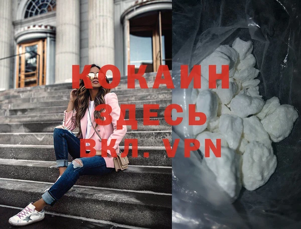 прущие грибы Аркадак