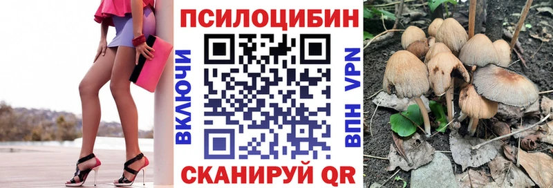 хочу наркоту  Пудож  Галлюциногенные грибы Cubensis 
